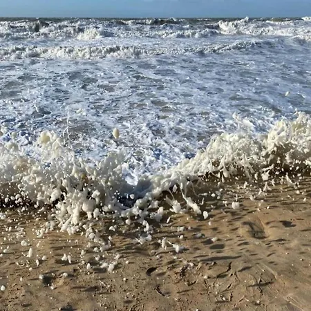 Apartamento By Sea With Marina Views *