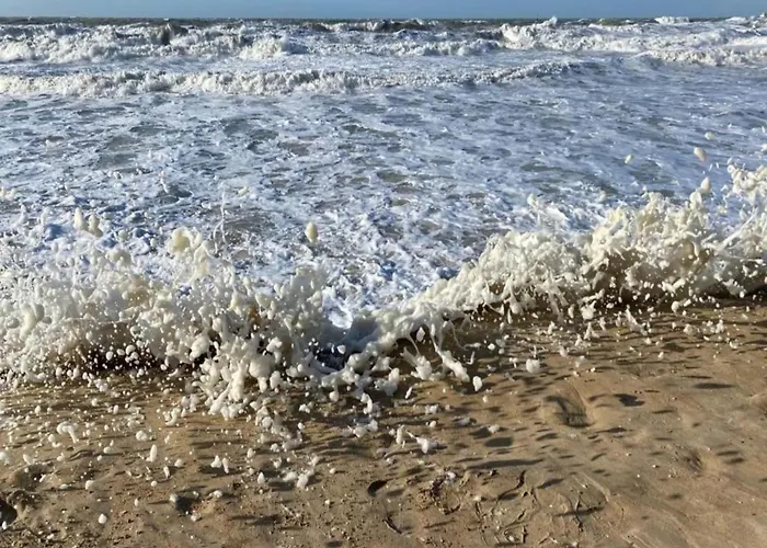 Appartement By Sea With Marina Views *